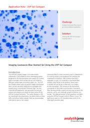 How To: UVP Gel Compact - Analyze Coomassie Blue Gel