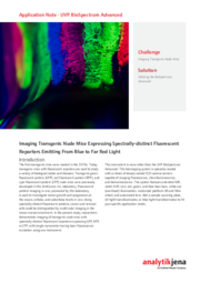 UVP Biospectrum Advanced  App7.indd